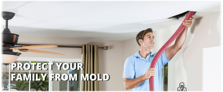Air Duct Mold Removal in Voorhees NJ
